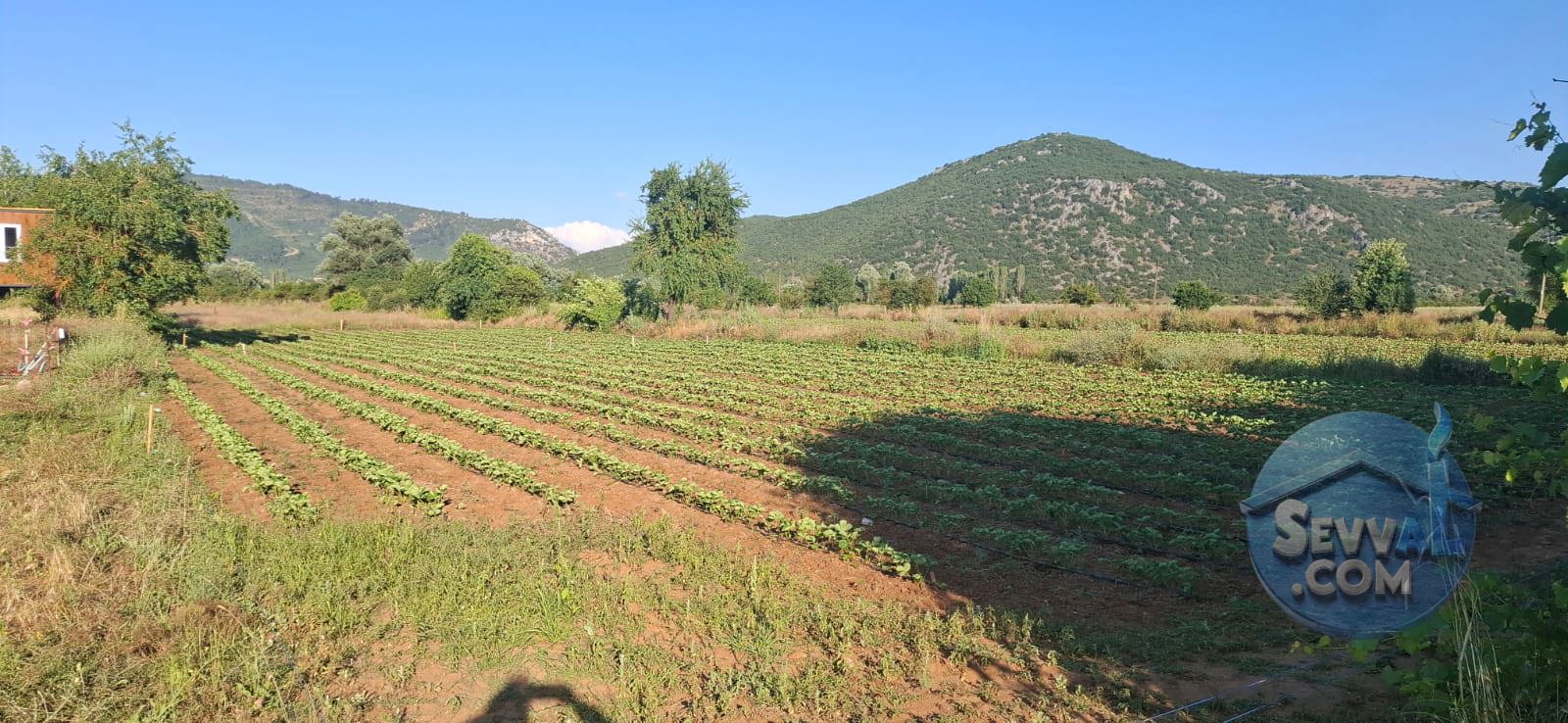 AĞLASUN ÇANAKLI KÖYÜNDE YATIRIMA UYGUN FIRSAT ARAZİ - BURDUR AĞLASUN fotoğraf 4