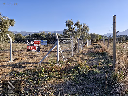 Kemalpaşa Armutlu Satılık 2300 m2 Bahçe Müstakil Parsel Tek Tapu - İZMİR KEMALPAŞA fotoğraf 16