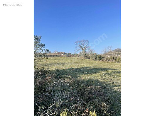 KOCAELİ GEBZE DURAKLI   MAHALLESİNDE 1.624 M²  TARLA  SATILIKTIR - KOCAELİ GEBZE fotoğraf 7