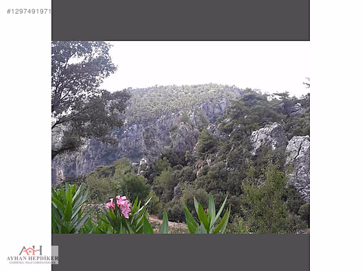 Zeytinköy'de Eko-Turizm Projesi İçin 14953 M² Satılık Arazi - MUĞLA MENTEŞE fotoğraf 3
