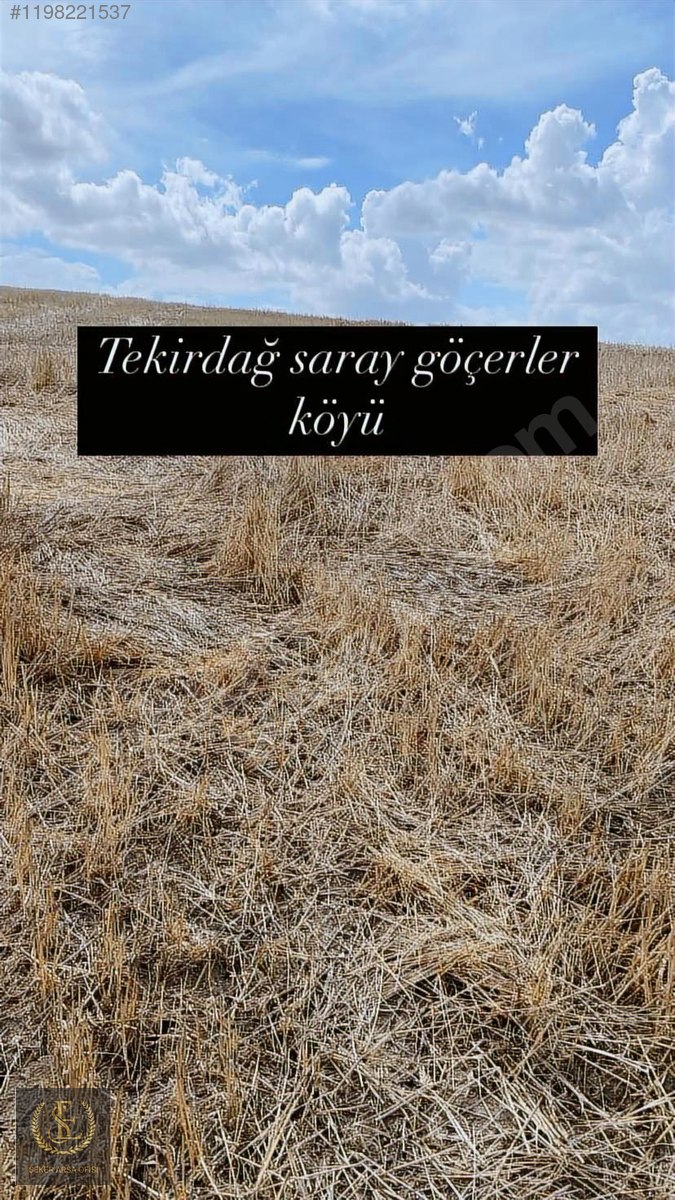 TEKİRDAĞ SARAY GÖÇERLER'DE 319Metre Kaziklari çakilmiş - TEKİRDAĞ SARAY fotoğraf 2