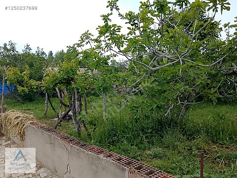 Atlantik'ten Ovacık Yaylası nda satılık Bahçe - İZMİR ÖDEMİŞ fotoğraf 2