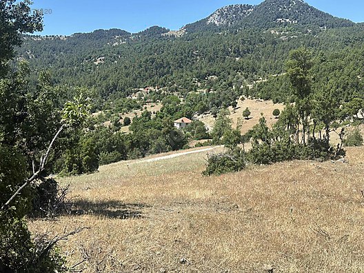 Kaçırılmayacak Fırsat  Antalya  Akseki Kepezbeleni Mh. 1.270 m² SATILIK ARSA  - ANTALYA AKSEKİ fotoğraf 6