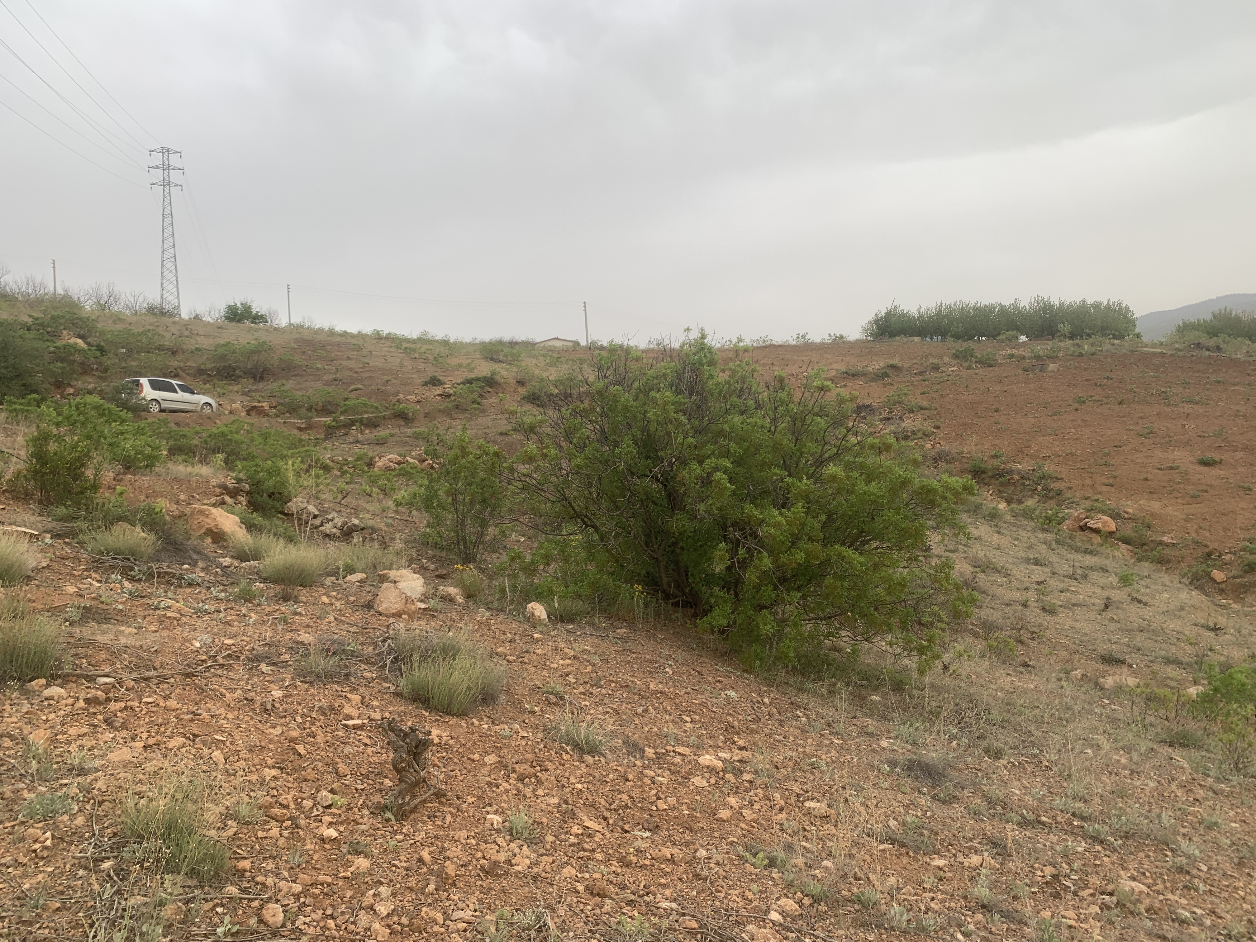 KONYA HADİM AŞAĞI EŞENLER KÖYÜNDE 1.064 M² TARLA SATILIKTIR. - KONYA HADİM fotoğraf 22
