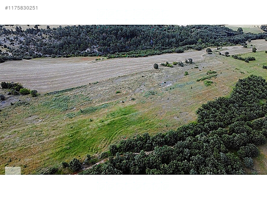 ÇANAKKALE BAYRAMİÇ MURATLAR KÖYÜ 45.000 m2 TARLA - ÇANAKKALE BAYRAMİÇ fotoğraf 17