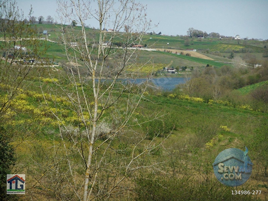 KOCAELİ/KANDIRA/AHMETHACILAR KÖYÜNDE SATILIK 2 PARSEL TARLA. - KOCAELİ KANDIRA fotoğraf 13