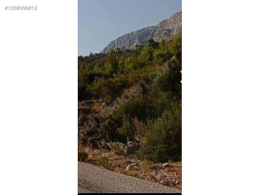 Antalya / Akseki / Hocaköy Mahallesinde  5.744 m² SATILIK TARLA - ANTALYA AKSEKİ fotoğraf 4