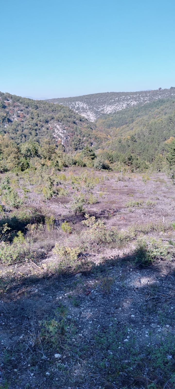 4681 m2 Yolu Olan Yatırımlık - BİLECİK MERKEZ fotoğraf 4