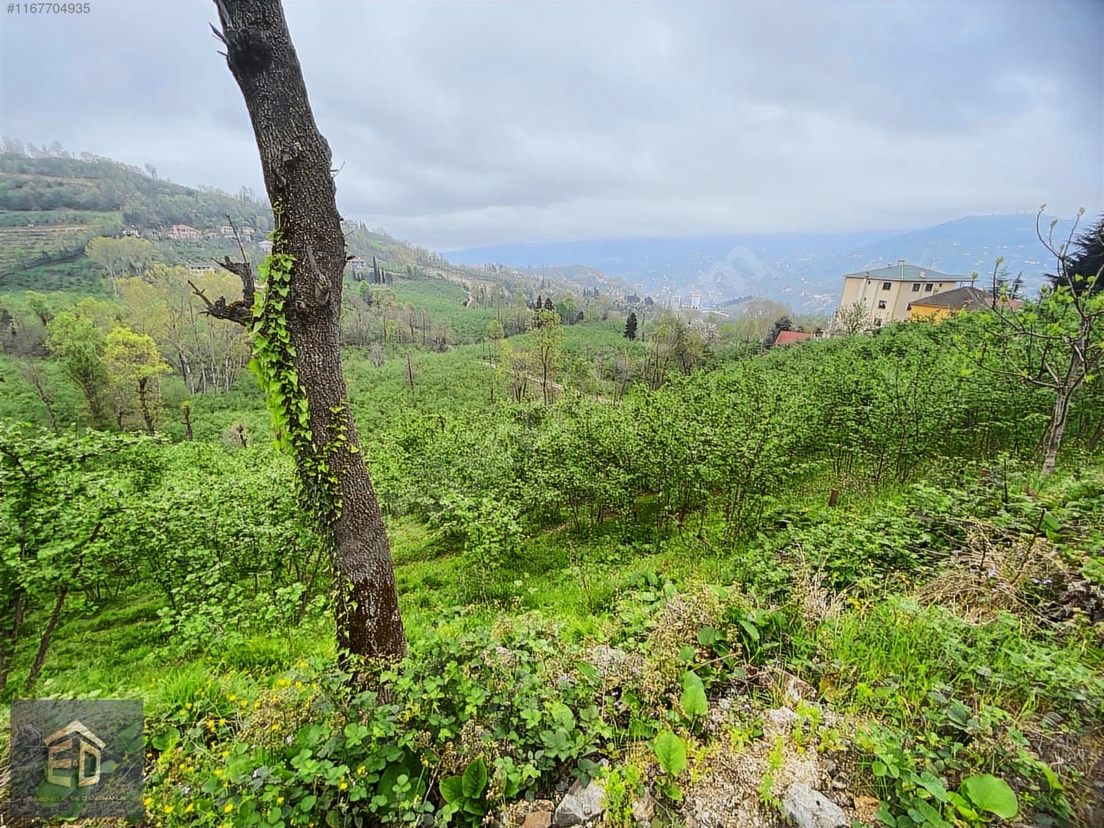 TRABZON AKOLUK'TA SATILIK 2.516M² YATIRIMA UYGUN ARSA - TRABZON ORTAHİSAR fotoğraf 3