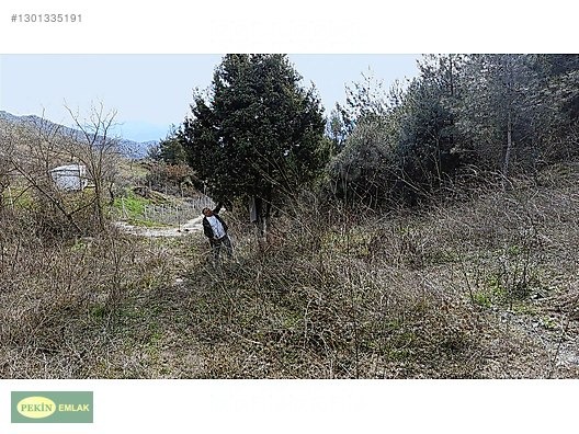 PEKİN EMLAK'tan PAMUKOVA Çileklide satılık - SAKARYA PAMUKOVA fotoğraf 14