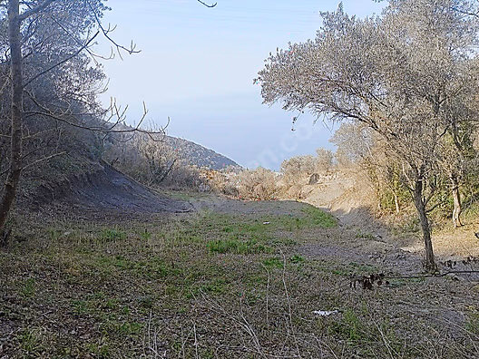 AKKOYUN DAN FULL DENİZ MANZARALI ARSA - KOCAELİ GÖLCÜK fotoğraf 9