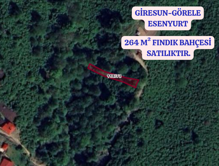 GİRESUN GÖRELE ESENYURT   KÖYÜNDE 264 M²  FINDIK BAHÇESİ  SATILIKTIR - GİRESUN GÖRELE fotoğraf 2