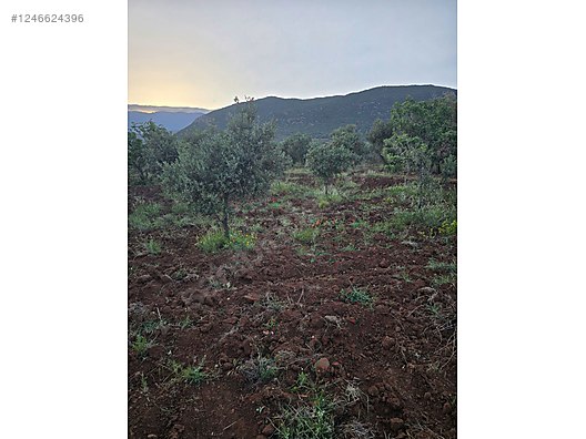 Satılık arsa Hatay Hassa küreci Mahallesi'nde tek tapu 2.000 M² - HATAY HASSA fotoğraf 2