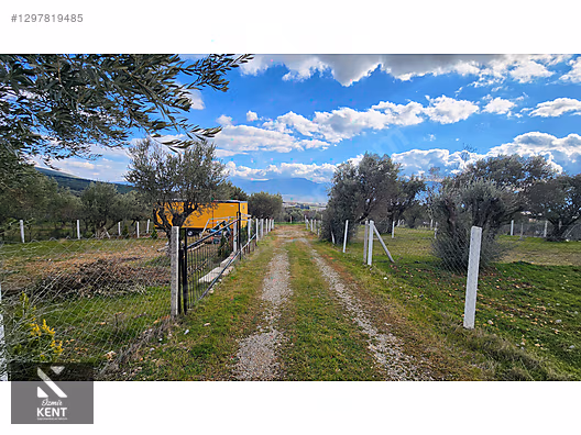 Kemalpaşa Sütçüler Satılık 331 m2 Bahçe - İZMİR KEMALPAŞA fotoğraf 37