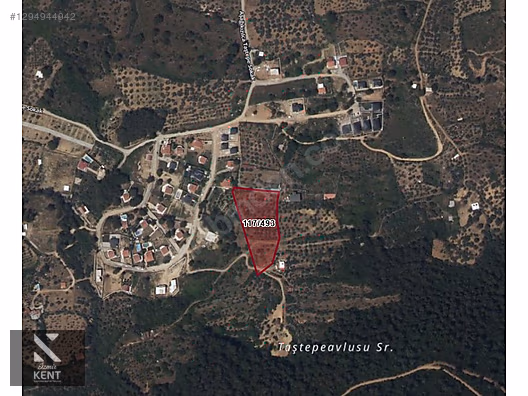Kemalpaşa Yukarıkızılca Satılık İmar sınırında 6250m2 Zeytinlik - İZMİR KEMALPAŞA fotoğraf 8