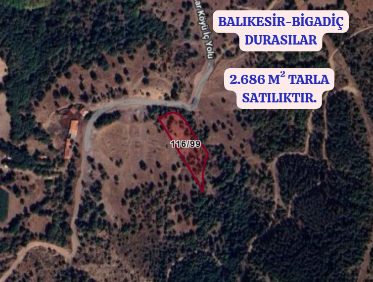 BALIKESİR BİGADİÇ DURASILAR  KÖYÜNDE 2.686 M² TARLA SATILIKTIR - BALIKESİR BİGADİÇ fotoğraf 2
