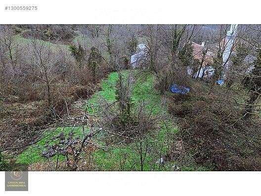 KASTAMONU KÜRE GÜLLÜCE 'DE KÖY İÇİNDE 798 M2 İMARLI UYGUN ARSA - KASTAMONU KÜRE fotoğraf 5