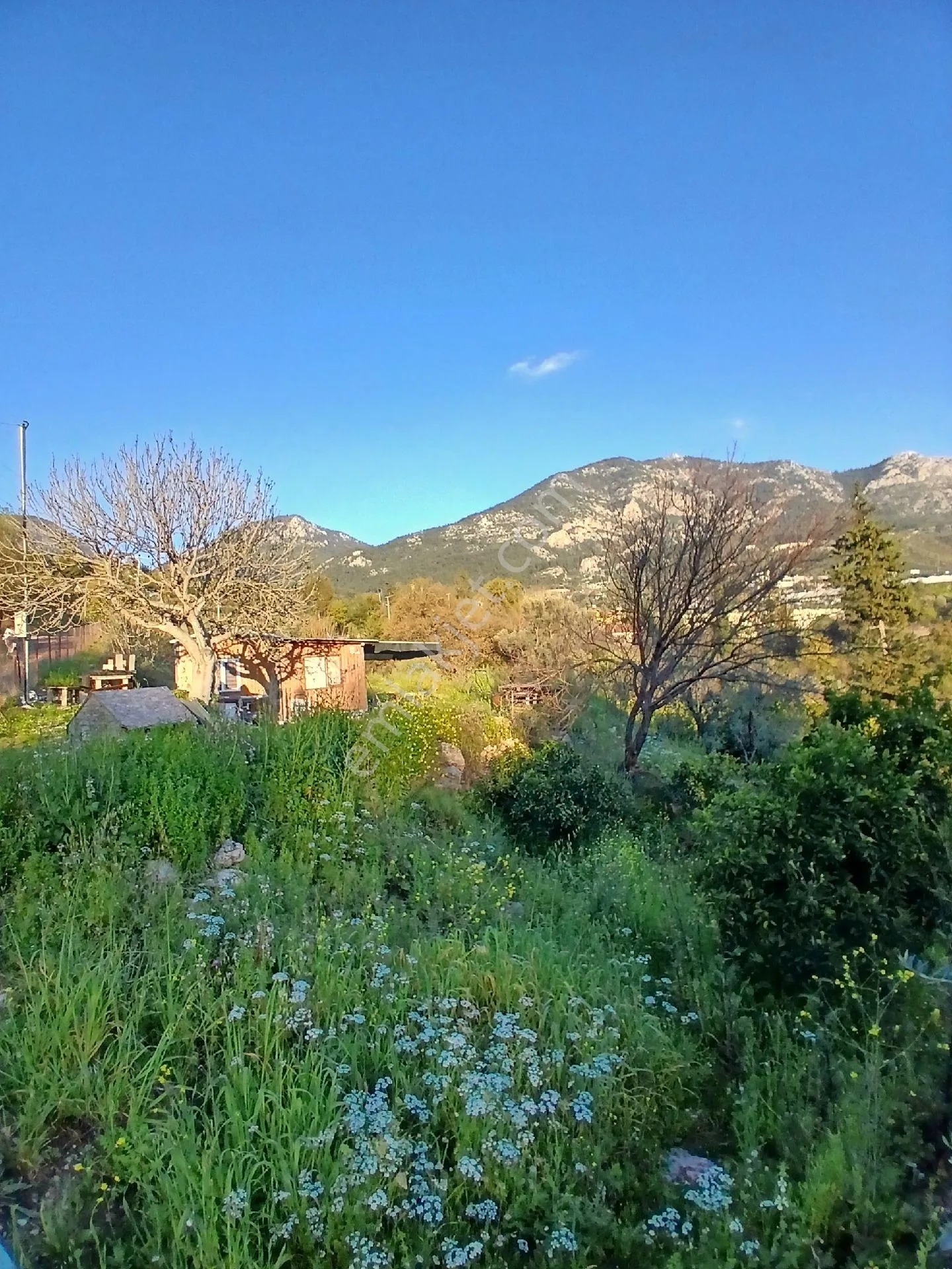 Erentepe Mahallesi Satılık Bahçe - ANTALYA KUMLUCA fotoğraf 19