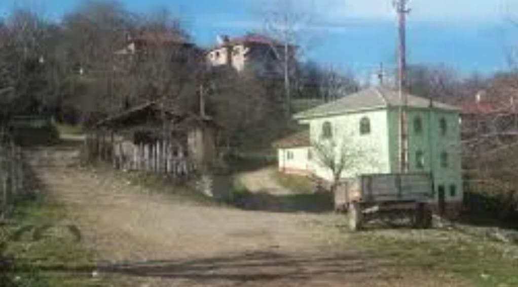 BARTIN ULUS ÇERDE KÖYÜ'NDE 1.183 M² TARLAMIZ SATILIKTIR - BARTIN ULUS fotoğraf 10