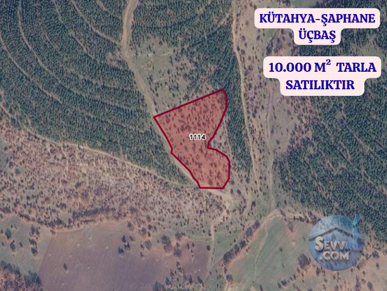 KÜTAHYA ŞAPHANE ÜÇBAŞ  KÖYÜNDE 10.000 M²  TARLA  SATILIKTIR - KÜTAHYA ŞAPHANE fotoğraf 2