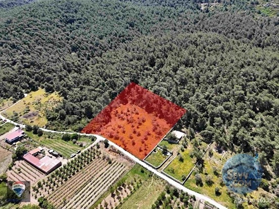 KUŞADASI KİRAZLI KÖYÜ’NDE SATILIK 5740 M2 TARLA - AYDIN KUŞADASI fotoğraf 8