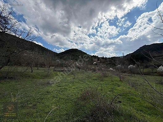 SAKARYA TARAKLI HACIALİLER'DE 442 M2 KONUT İMARLI ARSA - SAKARYA TARAKLI fotoğraf 19