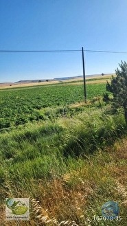 🚨 KÜTAHYA'DA ANAYOLA CEPHELİ 6.152 M² VERİMLİ TARLA 🚨 - KÜTAHYA MERKEZ fotoğraf 47