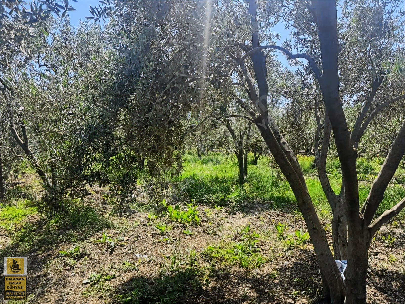 DALAMAN EMLAK DÜNYASINDAN FETHİYE GÜNLÜK BAŞINDA SATILIK TARLA - MUĞLA FETHİYE fotoğraf 16