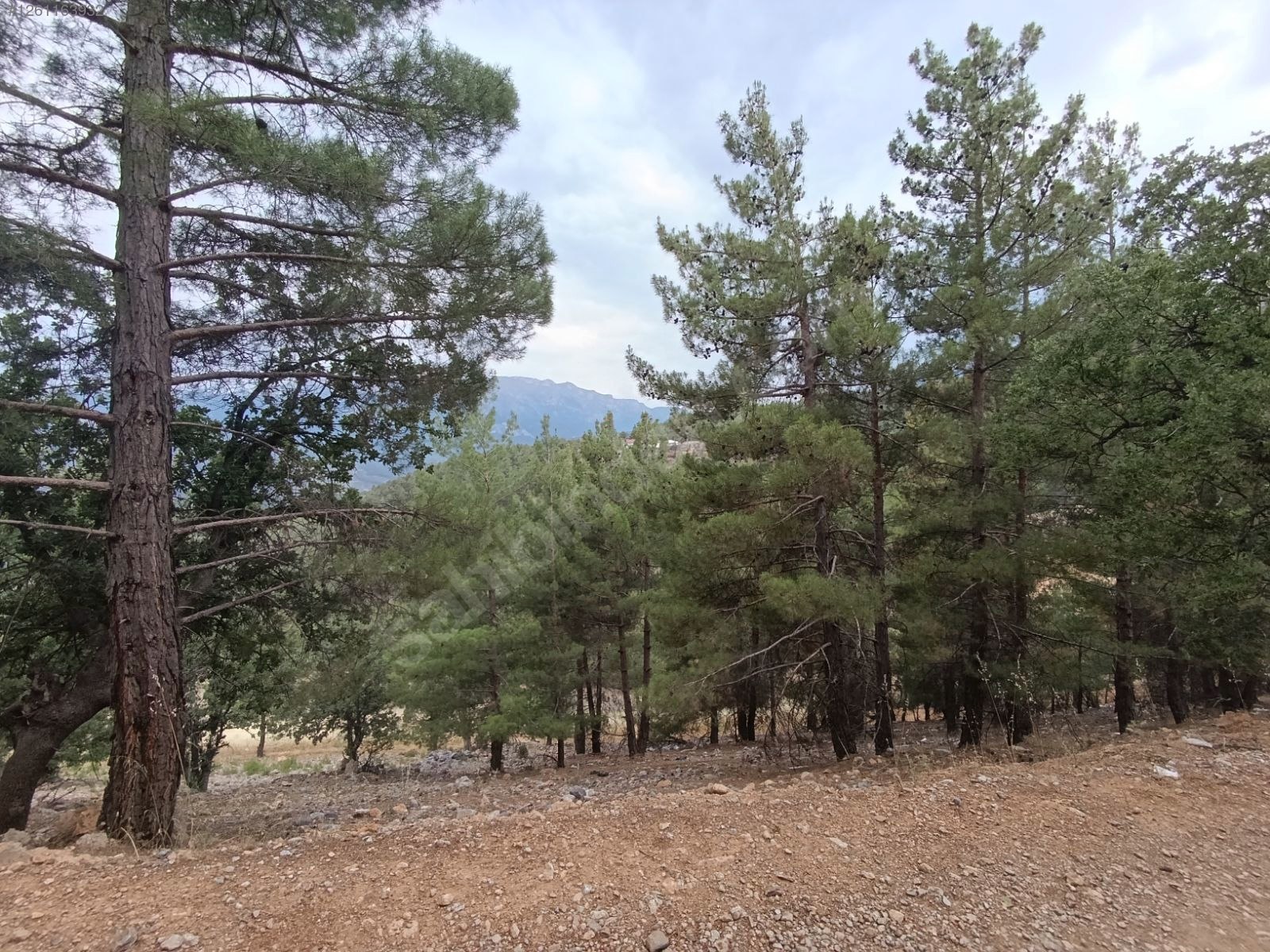 ACİİLLL SATILIKKK SAHİBİNDEN 550M²  İMARLI ARSA - ADANA POZANTI fotoğraf 14