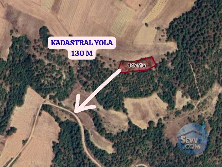 SAKARYA GEVYE GÜNHOŞLAR  KÖYÜNDE  3.908 VE 2.068 M² TARLA  SATILIKTIR - SAKARYA GEYVE fotoğraf 3