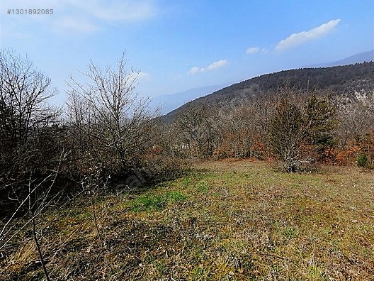 TAŞKESTİ EMLAKTAN TAŞKESTİ MERKEZDE 4381 M2 TARLA - BOLU MUDURNU fotoğraf 2