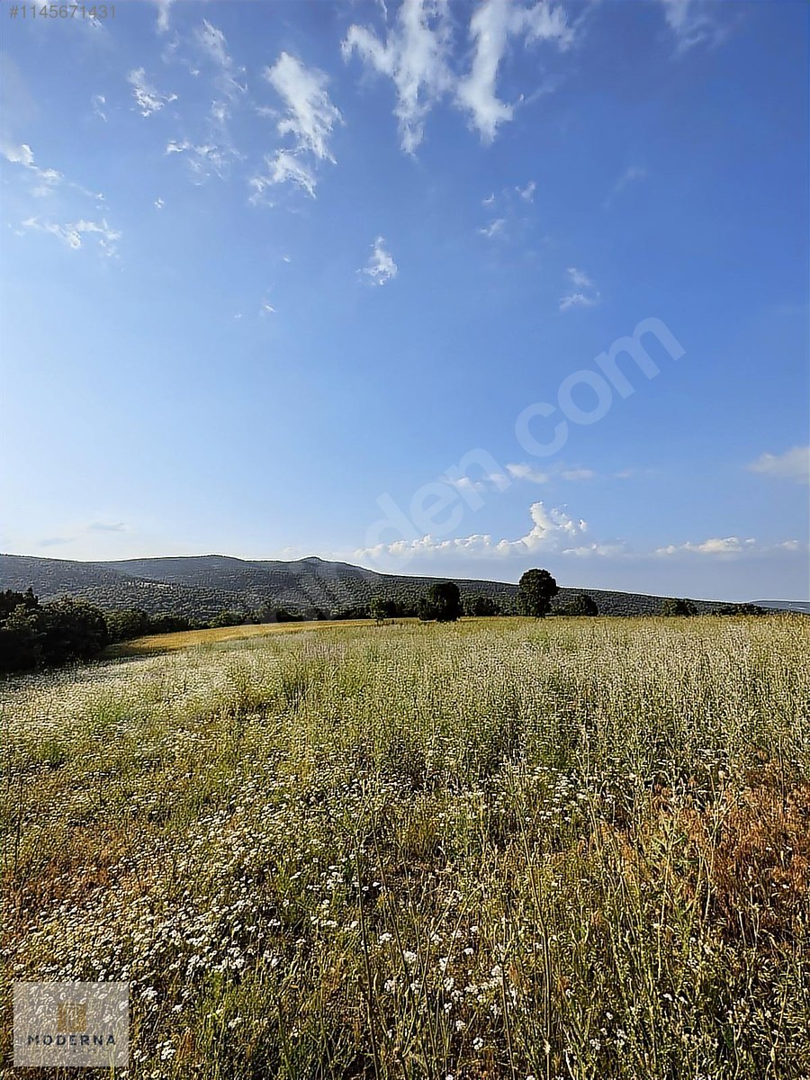 KÜTAHYA MERKEZ KİREÇÇİFLİĞİ MANZARALI 1477 M2 TAM HİSSE TARLA! - KÜTAHYA MERKEZ fotoğraf 7
