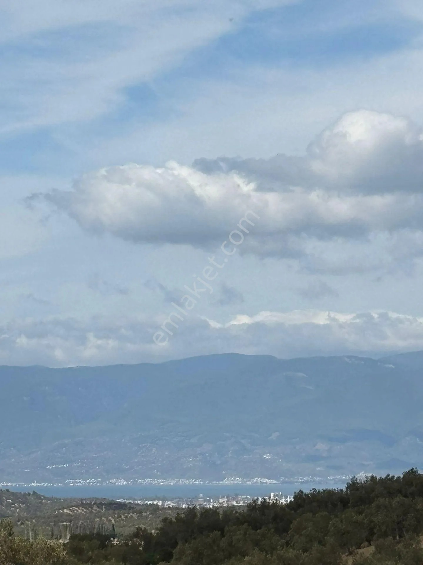 Balıkesir Burhaniye Bahadırlı'da Satılık Zeytinlik - BALIKESİR BURHANİYE fotoğraf 17