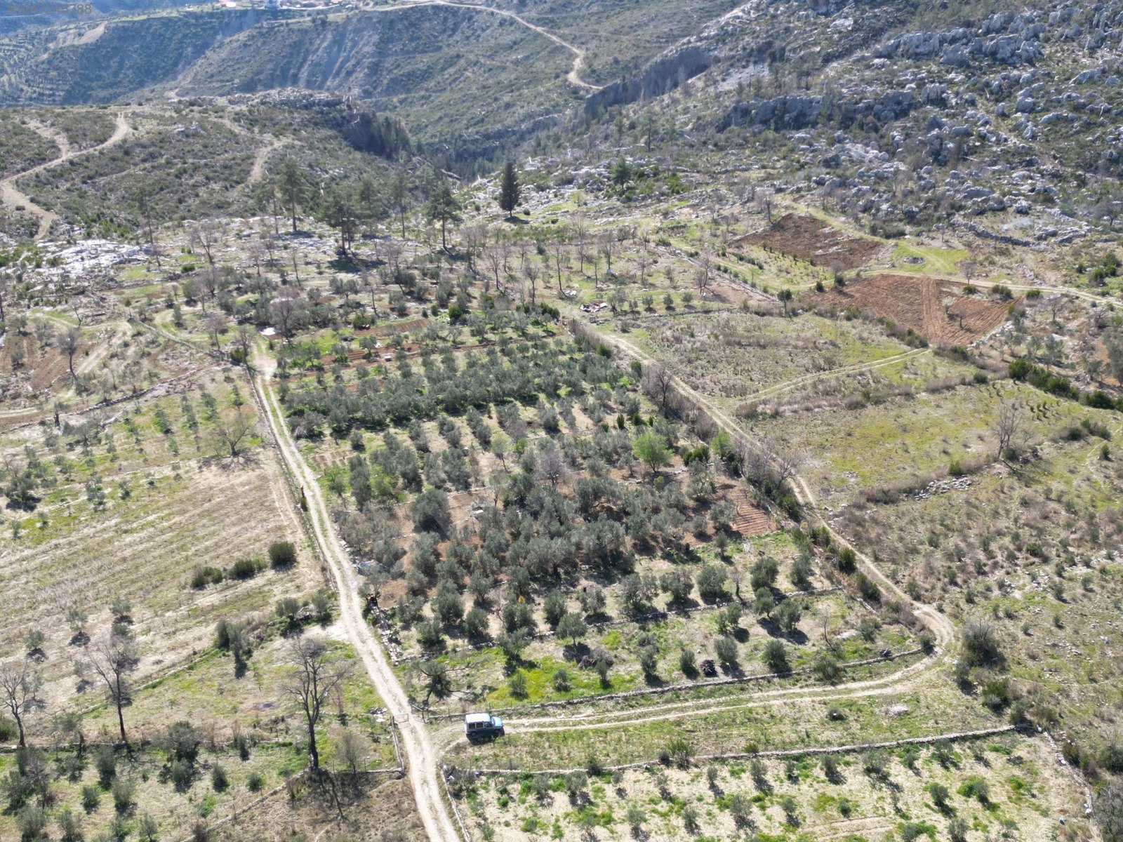 Antalya / Manavgat / Yaylaalan Mahallesinde 840 m² SATILIK TARSA  - ANTALYA MANAVGAT fotoğraf 10