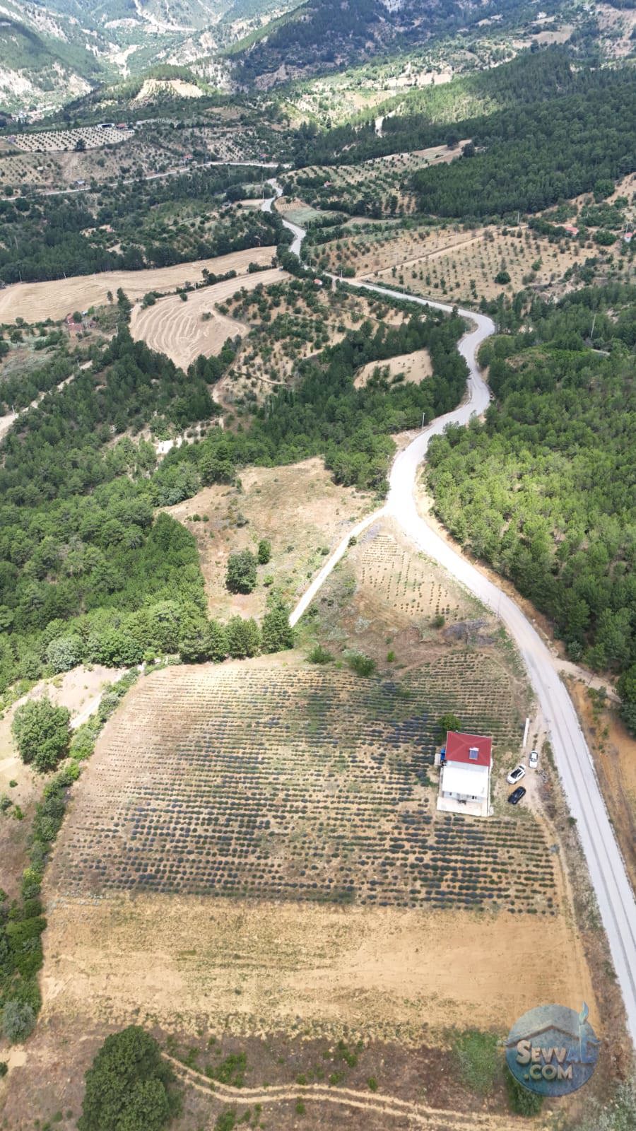Kütahya'da 14.035m² İçerisinde Lavanta Bahçesi-Yağ Sıkma Fab.-Evi Satılıktır - KÜTAHYA ŞAPHANE fotoğraf 18