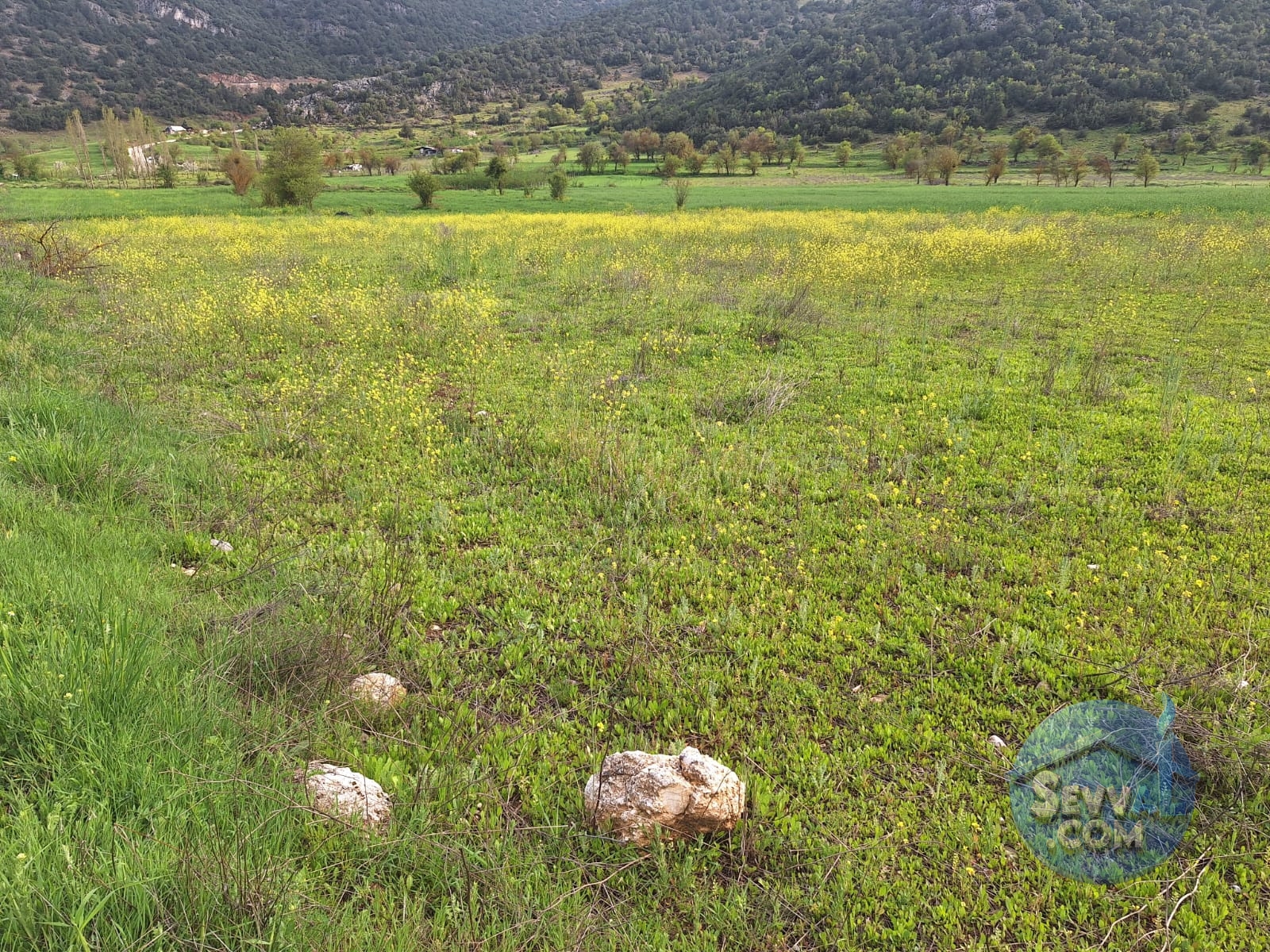 ASYA EMLAKTAN BURDUR AĞLASUN HİSARKÖY DE SATILIK FIRSAT TARLA - Burdur Ağlasun fotoğraf 23