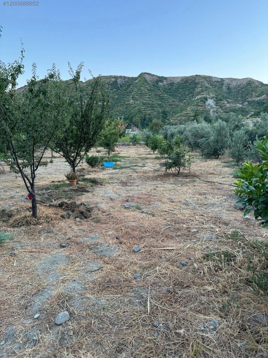 KARLISU'DA TERCİH EDİLEN BÖLGEDE MASRAFSIZ SAHİBİNDEN ARSA 1.180 M² - HATAY ANTAKYA fotoğraf 7