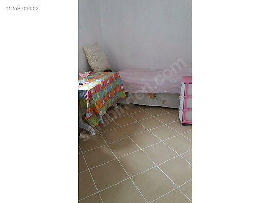 BURSA MUDANYA DEREKÖY KÖYÜNDE 2.526 M²  ZEYTİNLİK SATILIKTIR - BURSA MUDANYA fotoğraf 20