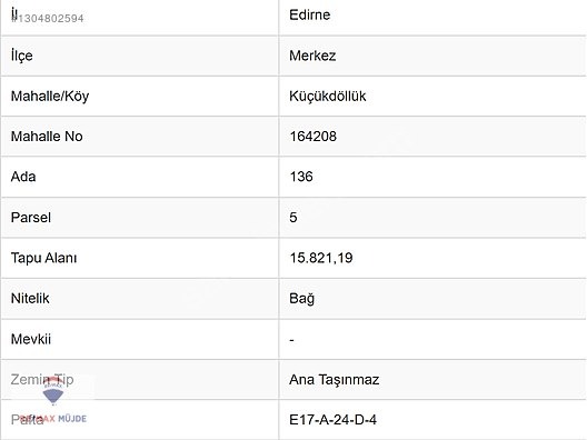 EDİRNE MERKEZ KÜÇÜKDÖLLÜK MAH.15.821 M2 RESMİ YOLA CEPHE BAĞ - EDİRNE MERKEZ fotoğraf 2