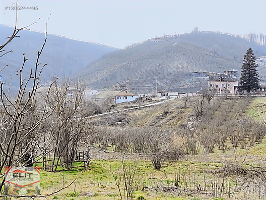 Kocaali Kirazlı'da 4.286m² Fındık Bahçesi ve 780m² İmarlı Arsa - SAKARYA KOCAALİ fotoğraf 26
