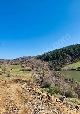 BURSA İZNİK MAHMUDİYE MAHALLESİ'NDE 7.500 M²  TARLAMIZ SATILIKTIR - BURSA İZNİK fotoğraf 10
