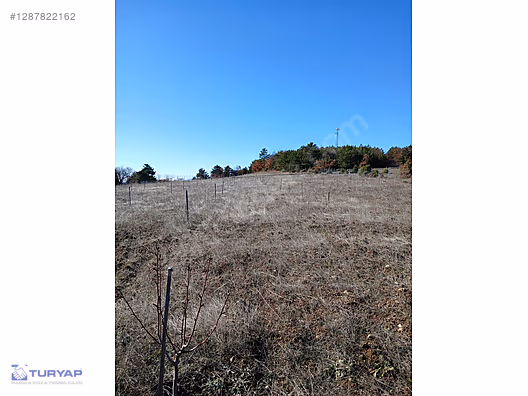 HİSARCIK OVASINDA 7,350 M2 ÇİFTLİK VE BAĞ EVİ İMARLI ARAZİ - BİLECİK OSMANELİ fotoğraf 11