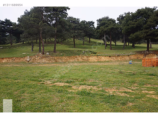 ÇANAKKALE BAYRAMİÇ DALOBA KÖYÜ 4781 m2 TARLA - ÇANAKKALE BAYRAMİÇ fotoğraf 50
