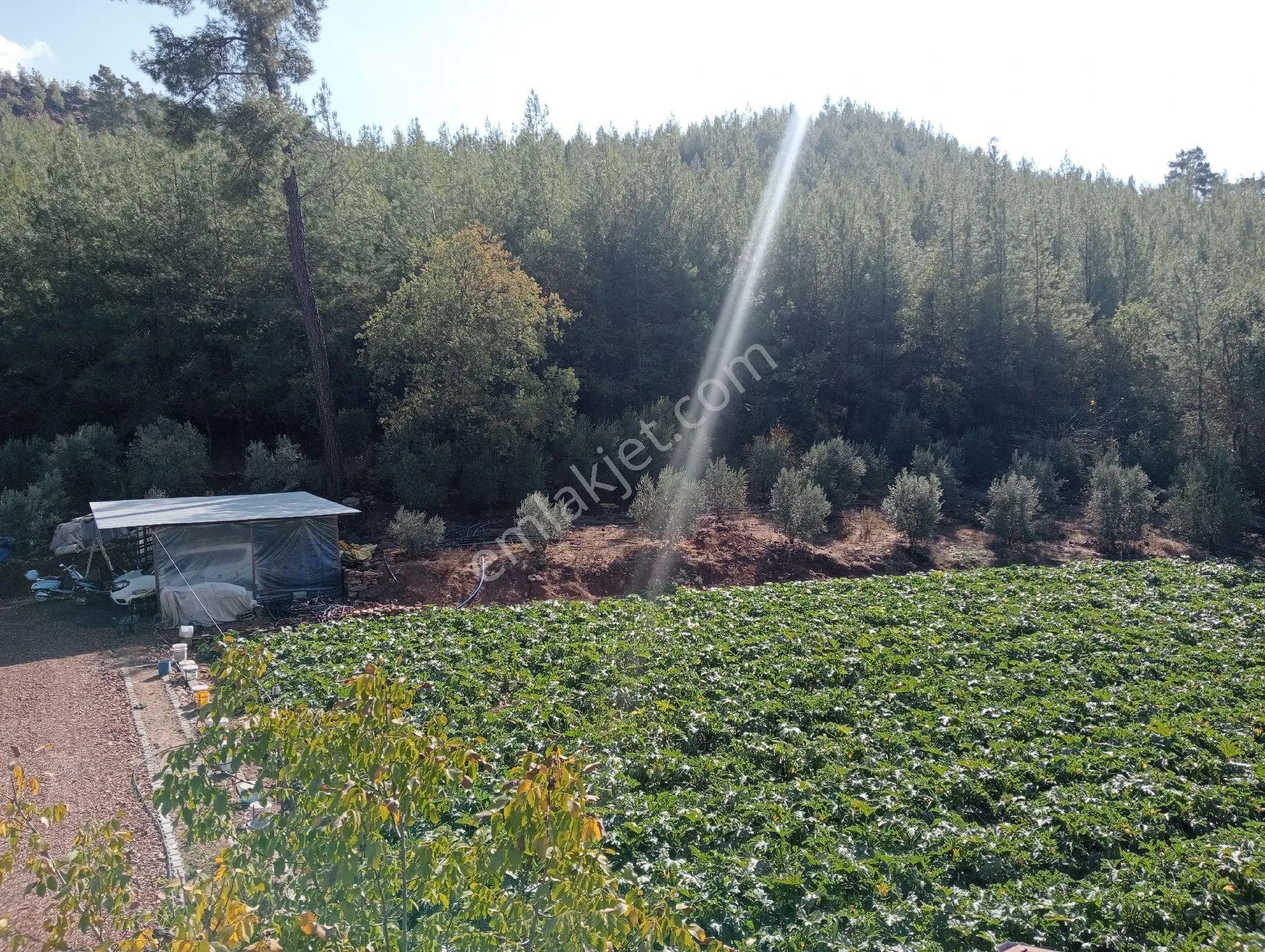 Antalya Kumlucada Satılık Müstakil Bahçe İnceoğlu Emlak - ANTALYA KUMLUCA fotoğraf 22