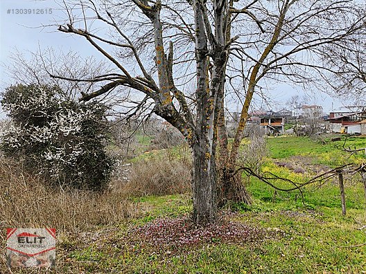 Fiyat düştü Karasu Taşlıgeçit'te 329m² Satılık Konut İmarlı Arsa - SAKARYA KARASU fotoğraf 3