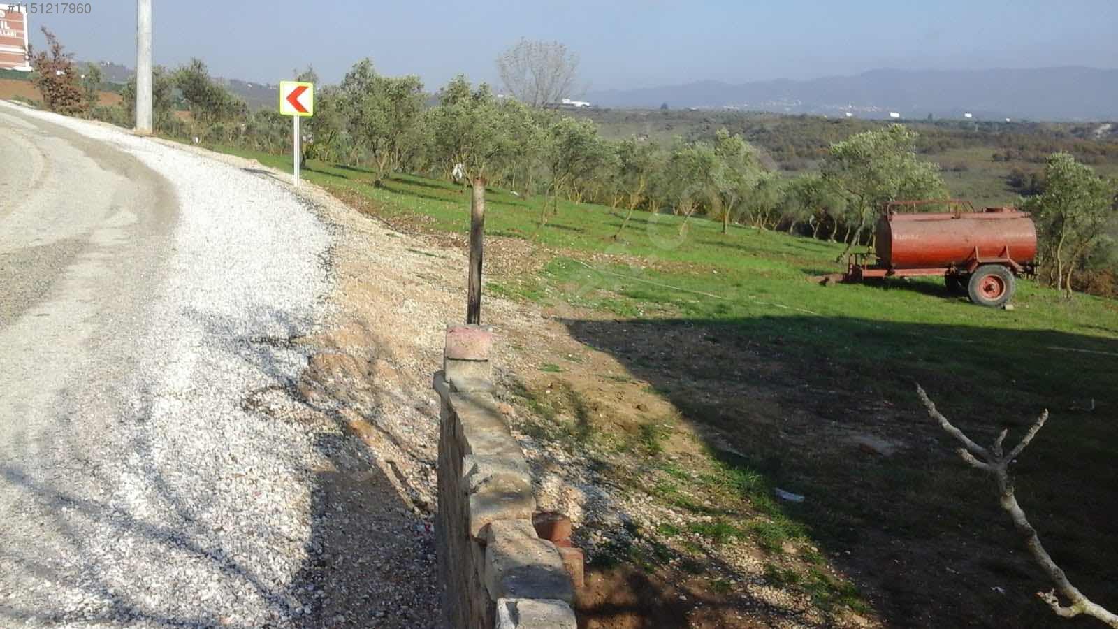 İlan Resmi