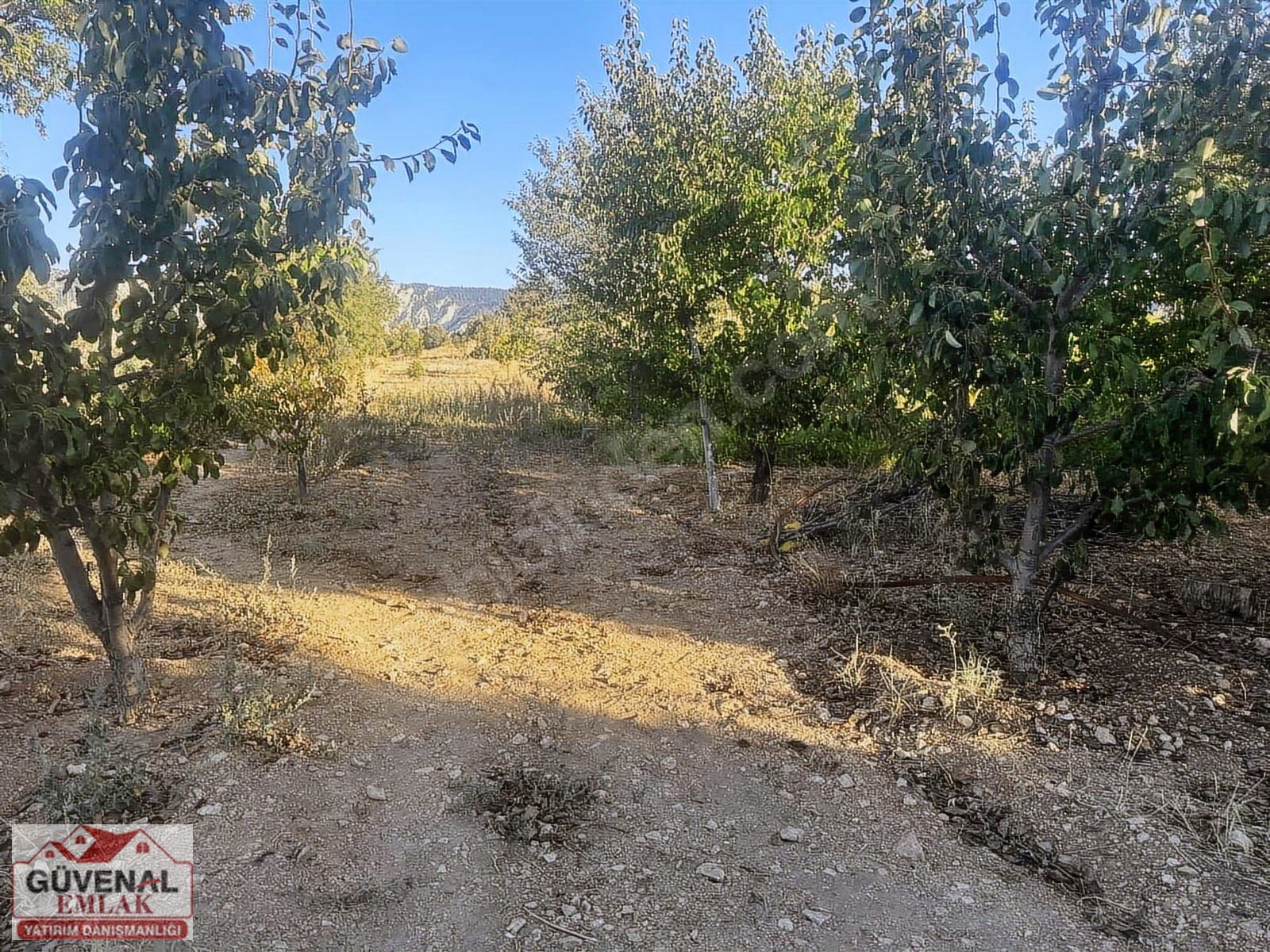 GÜVENALDAN ŞAHANE BAHÇE MÜSTAKİL EV 105 ADET YETİŞMİŞ MEYVE AĞAÇ - KARAMAN ERMENEK fotoğraf 9
