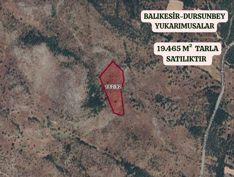 BALIKESİR DURSUNBEY YUKARIMUSALAR  KÖYÜNDE  19.465  M²  TARLA  SATILIKTIR - BALIKESİR DURSUNBEY fotoğraf 2