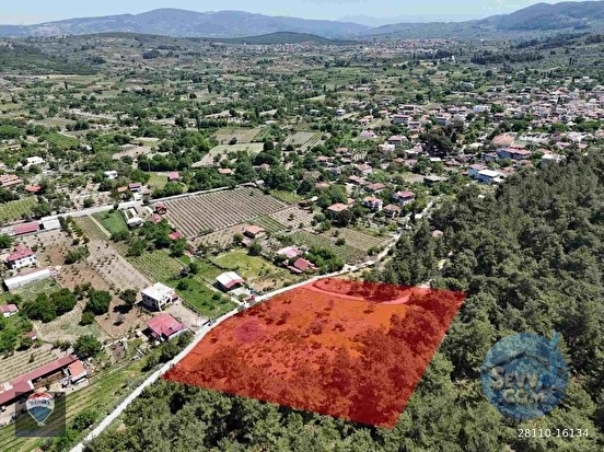 KUŞADASI KİRAZLI KÖYÜ’NDE SATILIK 6152 M2 TARLA - AYDIN KUŞADASI fotoğraf 9