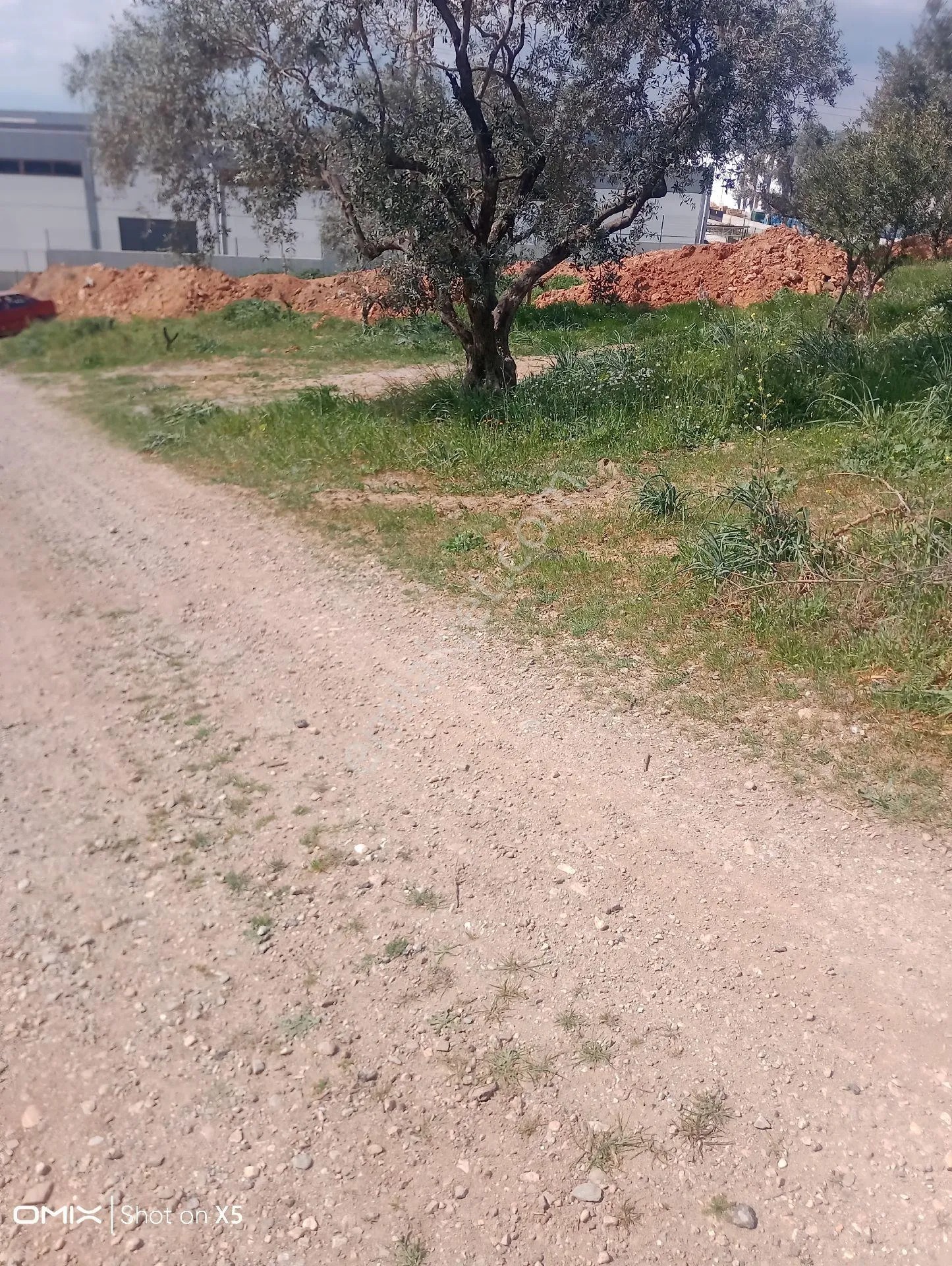 İzmir Torbalı Kuşburun Mahallesi'nde 436m2 Arsa Satılık - İZMİR TORBALI fotoğraf 3